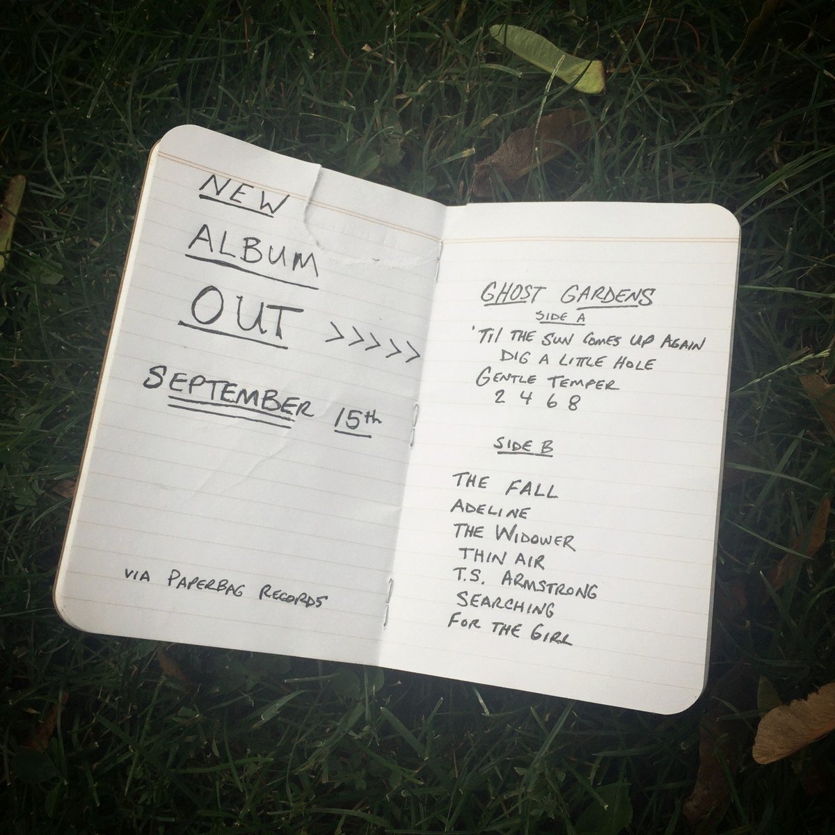 We're doing a thing this Friday called #GHOSTGARDENS. You should probably pre-order it here: tinyurl.com/y7muqq6a