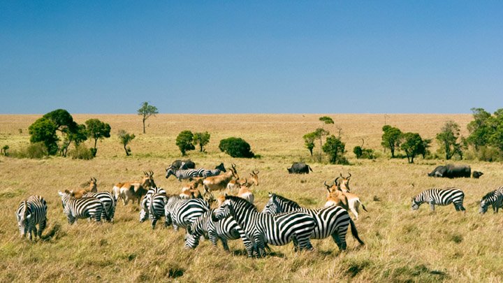 johntnordberg's tweet photo. Greening the Mega #LakeChad Basin in #Africa—using #DOAWG—will help expand the #Savanna #Habitat for #EndangeredSpecies
#Water
#WaterIsLife https://t.co/TPI8bNbc9s