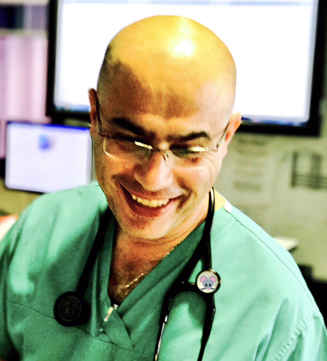 Depty Dawg tweet media