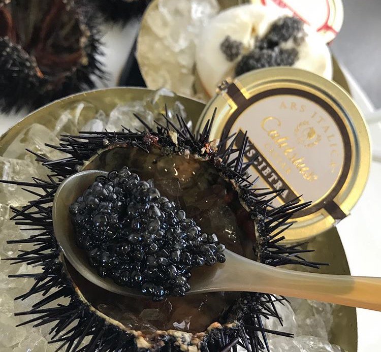 CalvisiusUSA's tweet photo. We are proud to provide our customers with a fully sustainable source of caviar. #CalvisiusCaviar (Photo: blumen_bad_beach via Instagram) https://t.co/PUj2LKMLNt