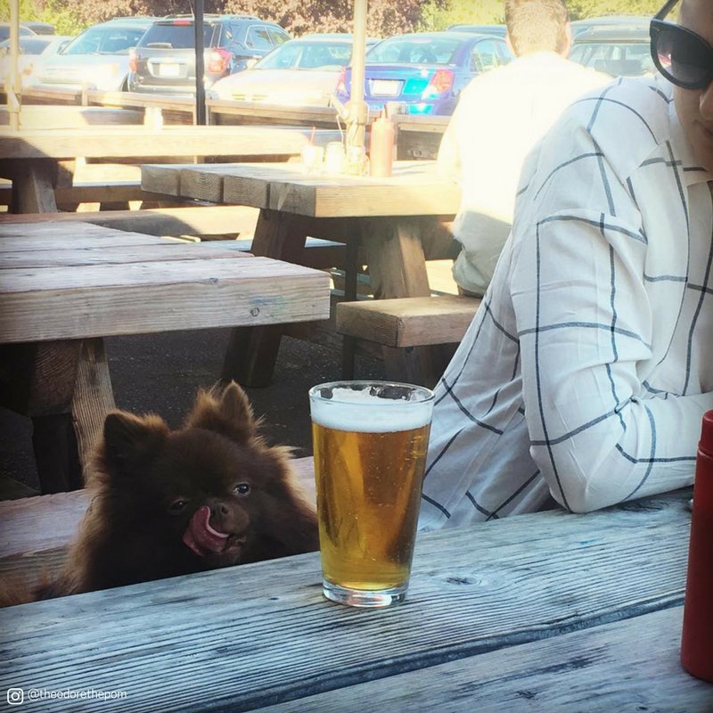 How everyone usually looks after trying a brew from <a href="/OMPBrew/">Old Market Pub</a> 😂 #FridayFeeling #FridayFunDay