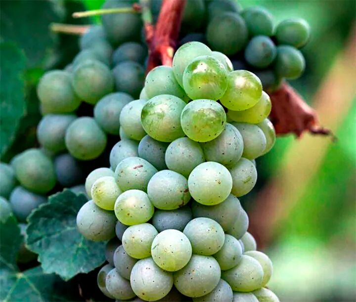 Paulo Da Cruz Lucchesi (@pclucchesi) on Twitter photo 