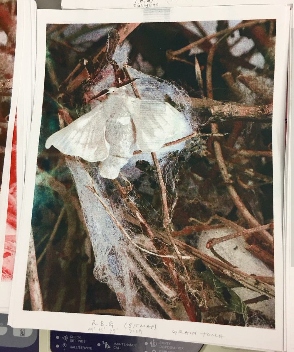 risolab's tweet photo. Photographers: Print your photos w/ more pop for less $$$
John Paul's Risograph: Focus on Photography and Graphics:
https://t.co/P2v0Eh5GCm https://t.co/I2mugKS7m6