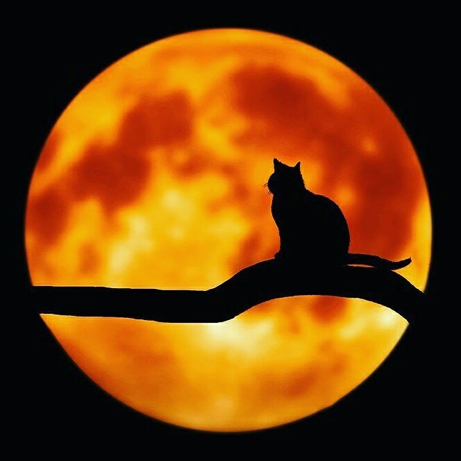 ThrillerofYear's tweet photo. #NewProfilePic #Philosopher #unknown #unique #unbiased #independent ##obsessed #finaltheory #everything #eternal #return #groundhogday #rise https://t.co/DJScWd9E1x