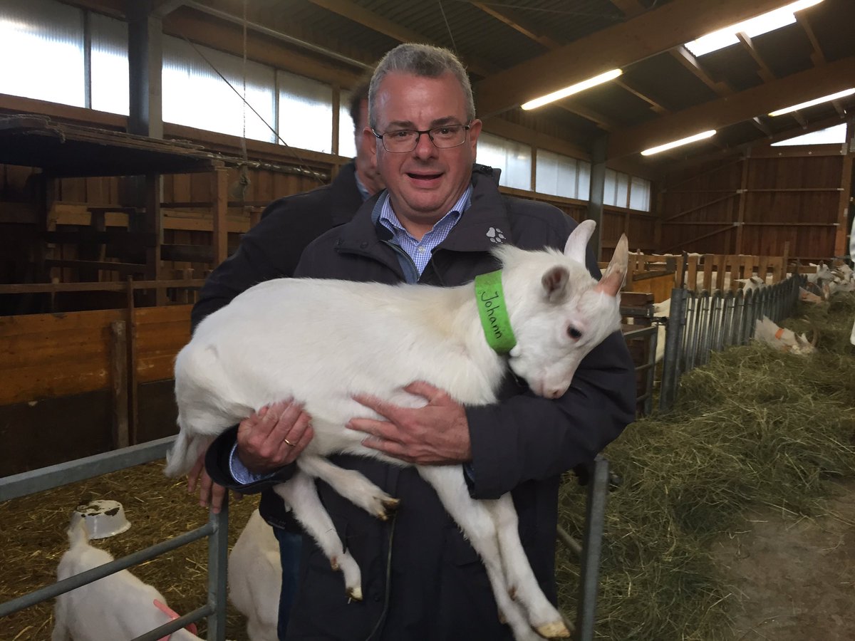 cduwesterwald's tweet photo. Unser @DrAndreasNick mit dem kleinen Johann. 🐐#nick2017 Besuch in der Ziegenstallung in Oberrod gehört einfach dazu. #fedidwgugl https://t.co/O7S8yAkLa3