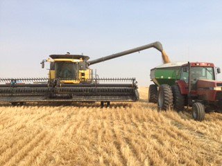 FPGenetics's tweet photo. Opening rounds of #ACTranscend coming off @KurtPrintz great #quality this year. ^CG https://t.co/s70P8uAv9P