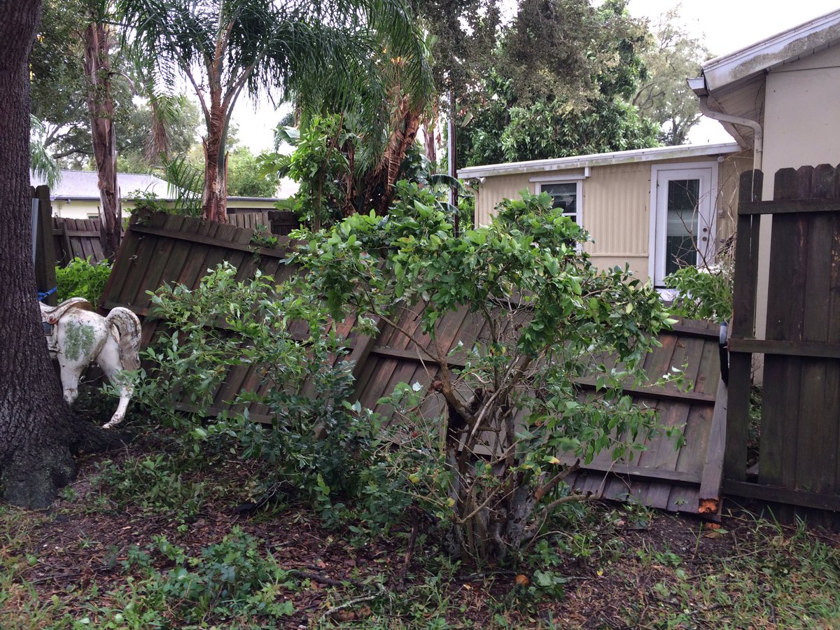 LucyLove817's tweet photo. You bet your horse's a** we had a hurricane! @CynthiaSmoot @PaulFox13 #Irma2017 #IrmaCleanUp #Irmahumor #looktotheleft https://t.co/NPiAdTVbb0