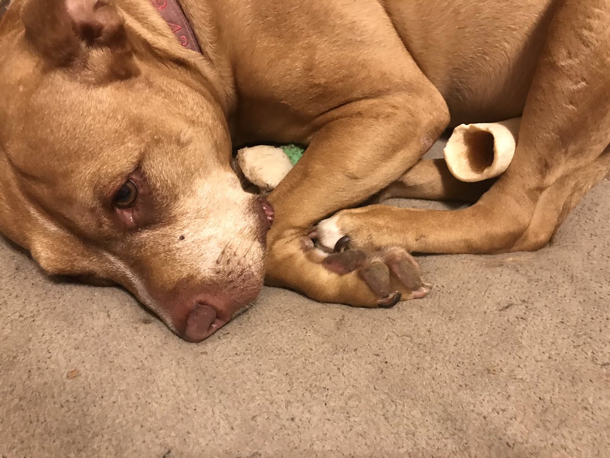 If I had a thousand more pairs of limbs, maybe I could hold enough trinkets to fill the void in my soul.