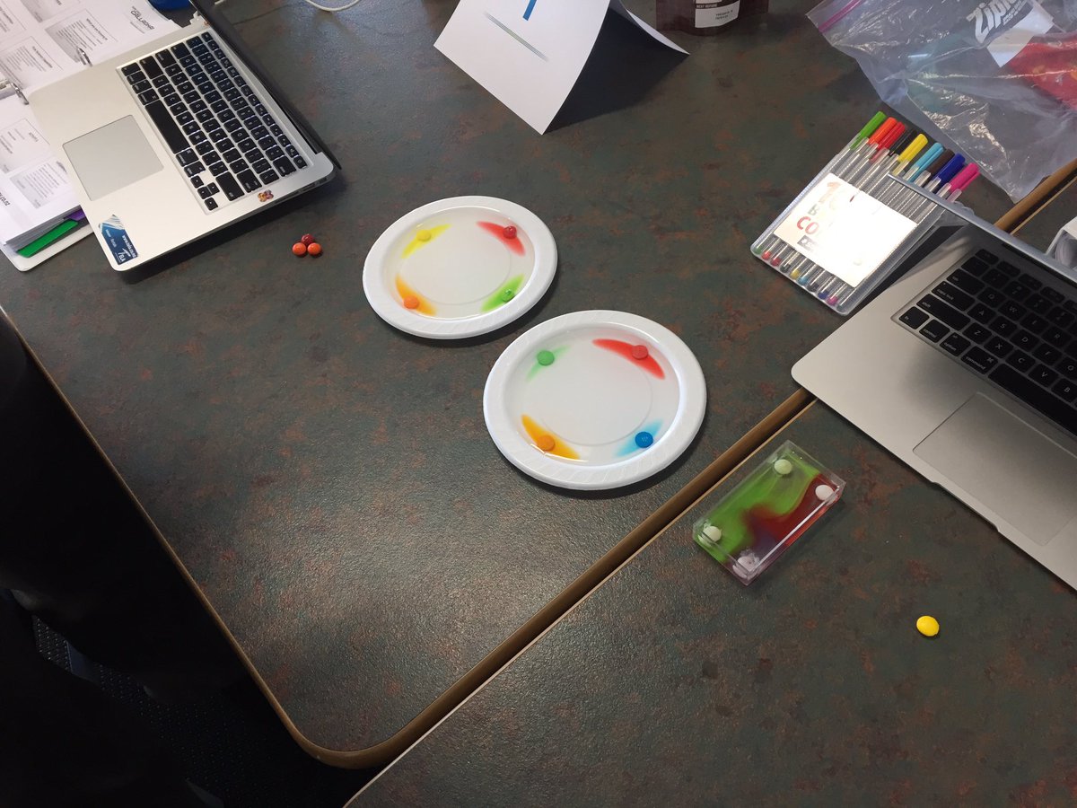 therealmrj's tweet photo. Using simple science experiments to make quality observations are awesome #science #sirpaulcallaghanscienceacademy https://t.co/n9Ud2D4GNP