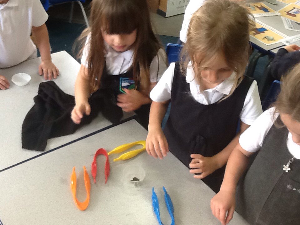 missWatsonR's tweet photo. We have been #counting currants and now we want to make #currantbuns!
@bannps #finemotor #activemaths https://t.co/T1DagyjDIM