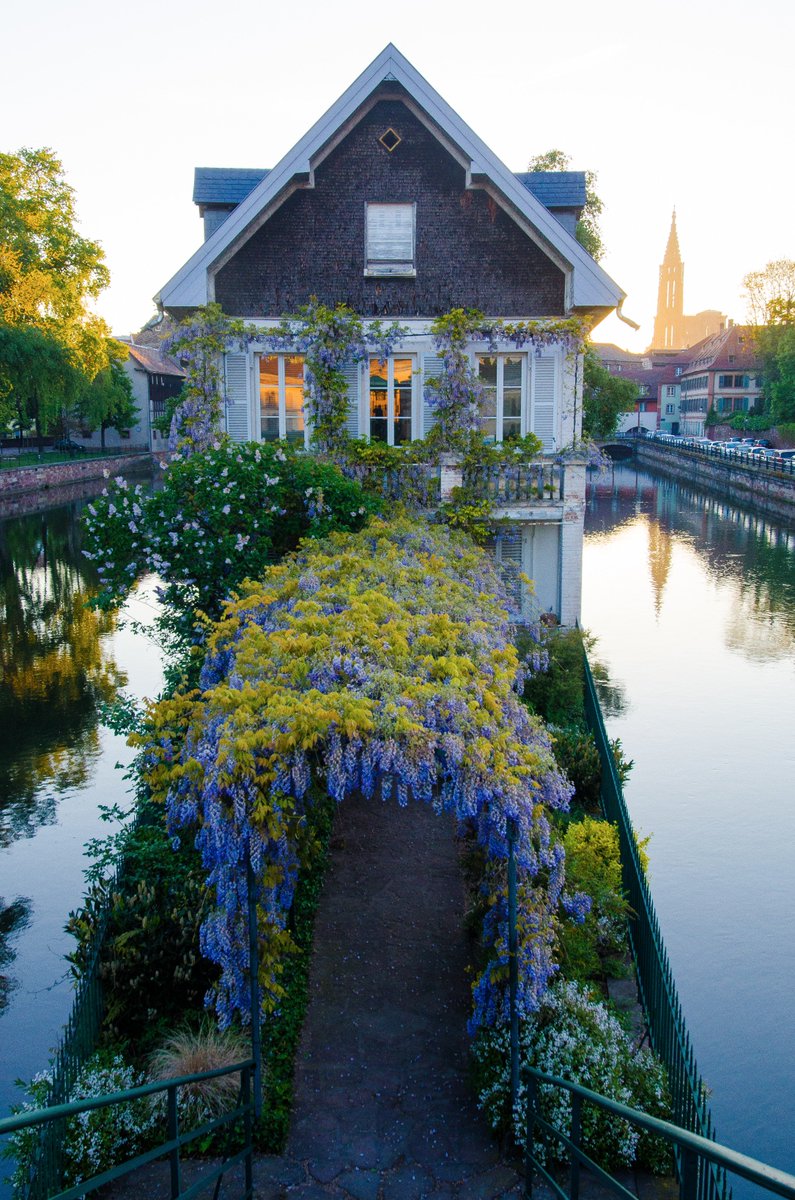 The fiery hues of #sunrise color the morning haze which rises above the blossoming facade of an Alsatian abode. #France #landscape