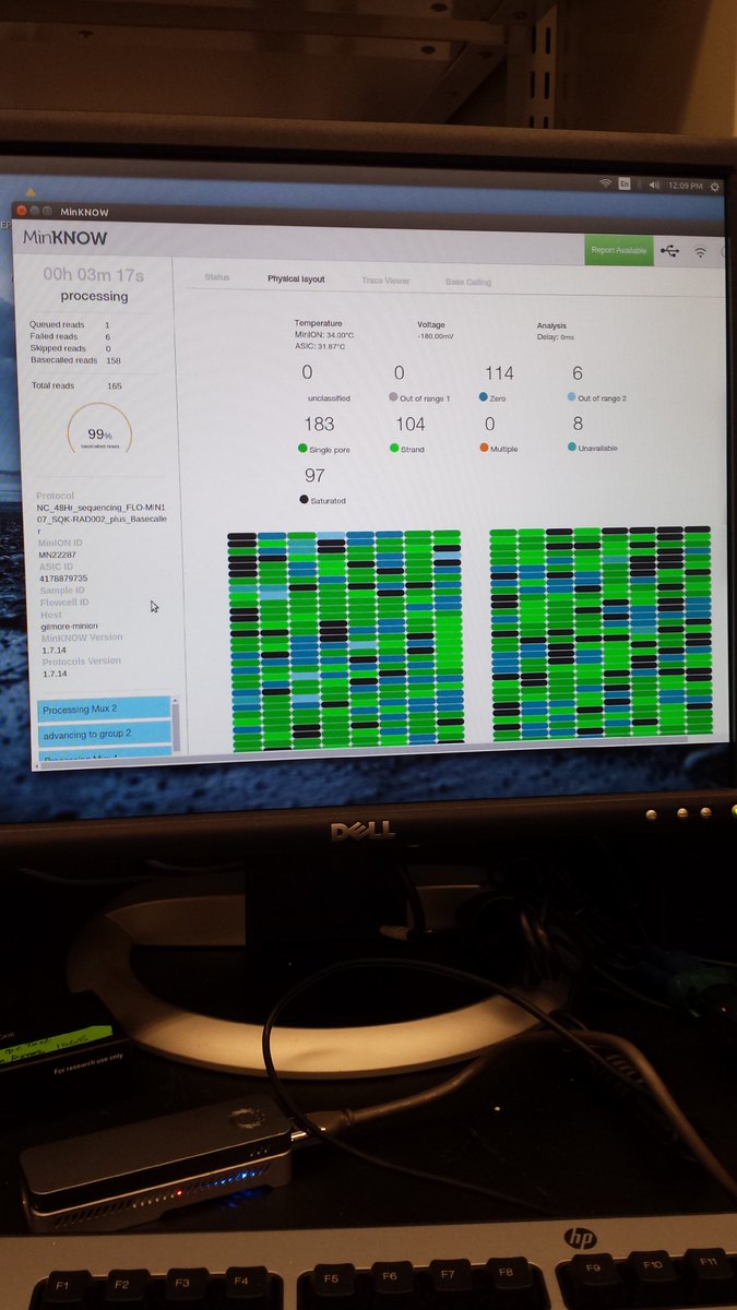 Anthony Gaca tweet media