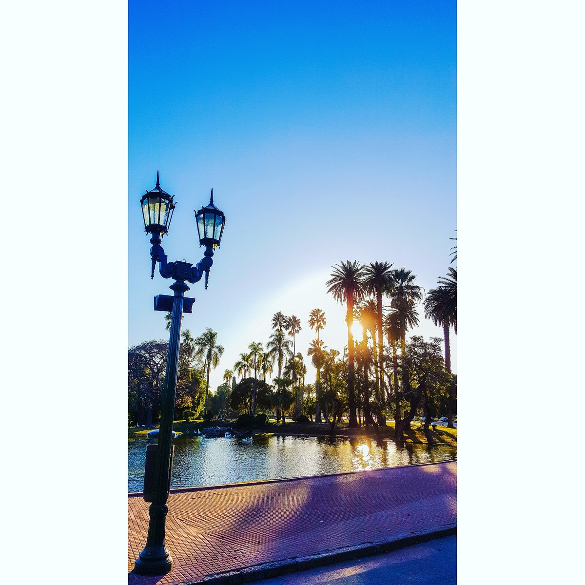 damianbenetucci's tweet image. Hola, adiós

#postrunning #stretching #park #sky #sunset #photos #capture #buenosaires #city #draw #photooftheday #daylight #mothernature