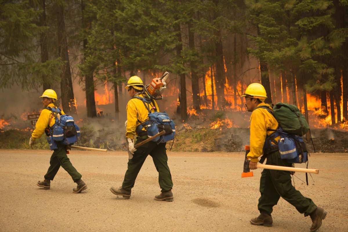 Three firefighters walk along carrying equipment. In the background, the forest is on fire.