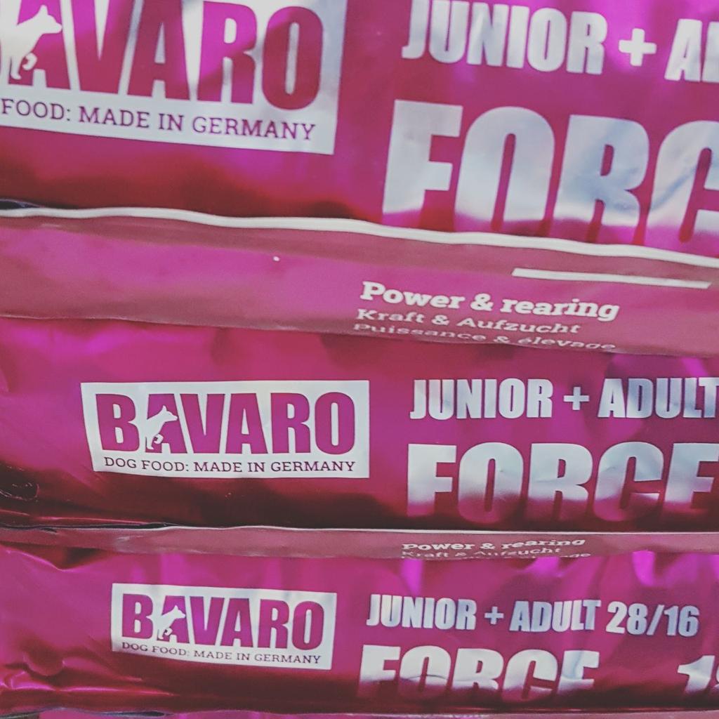 Bávaro Force 18kg 27900

Cotiza este y otros productos al whatsapp +56994440077

#ComidaPet #DogLovers #Bavaro
