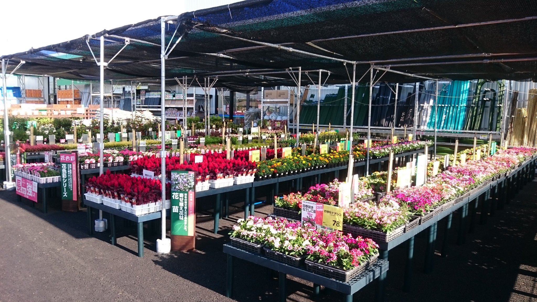 コメリの緑組の人 花売場も大きな売場になっています T Co Gsghncst57 Twitter