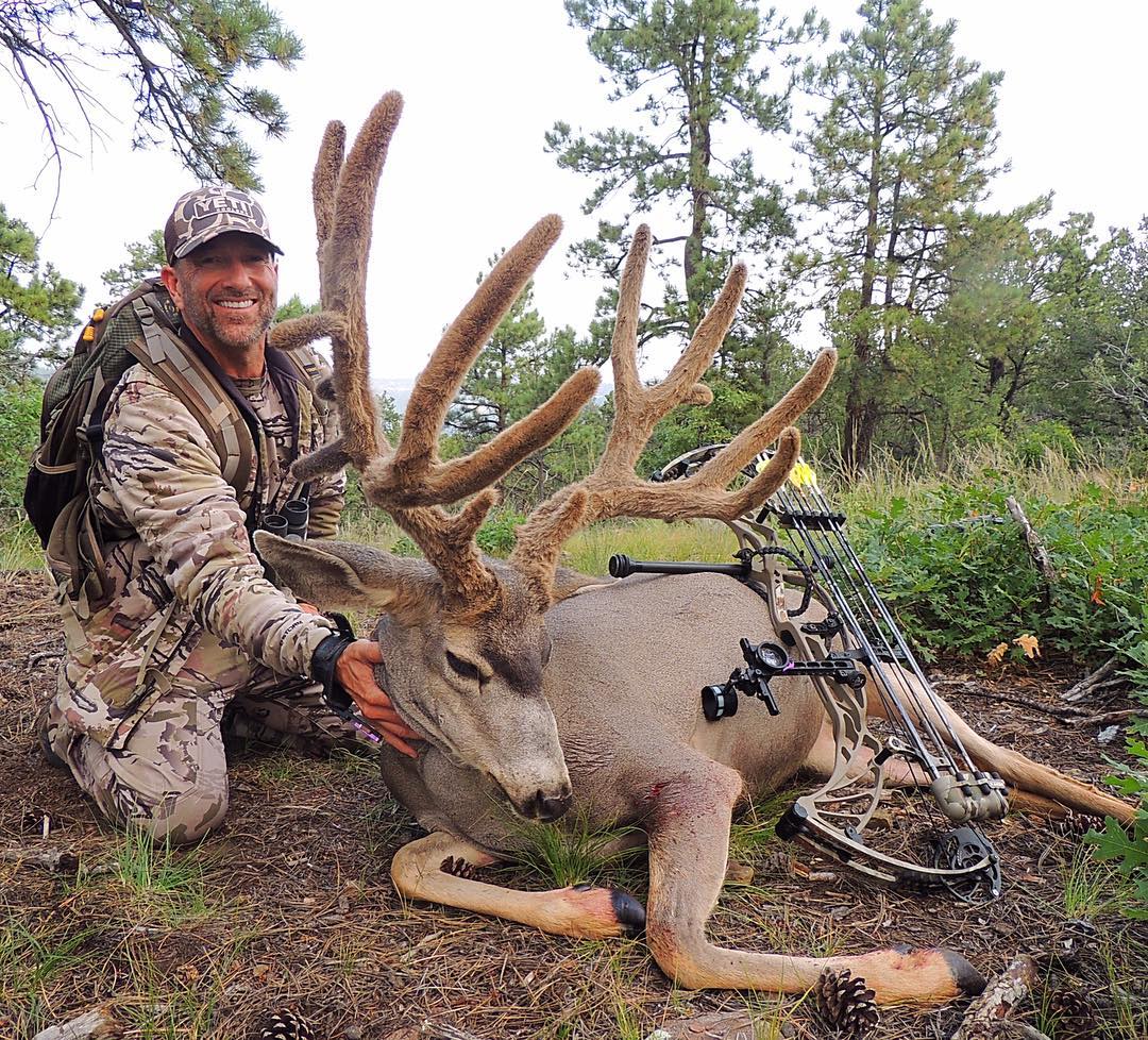 HOYT ARCHERY tweet media