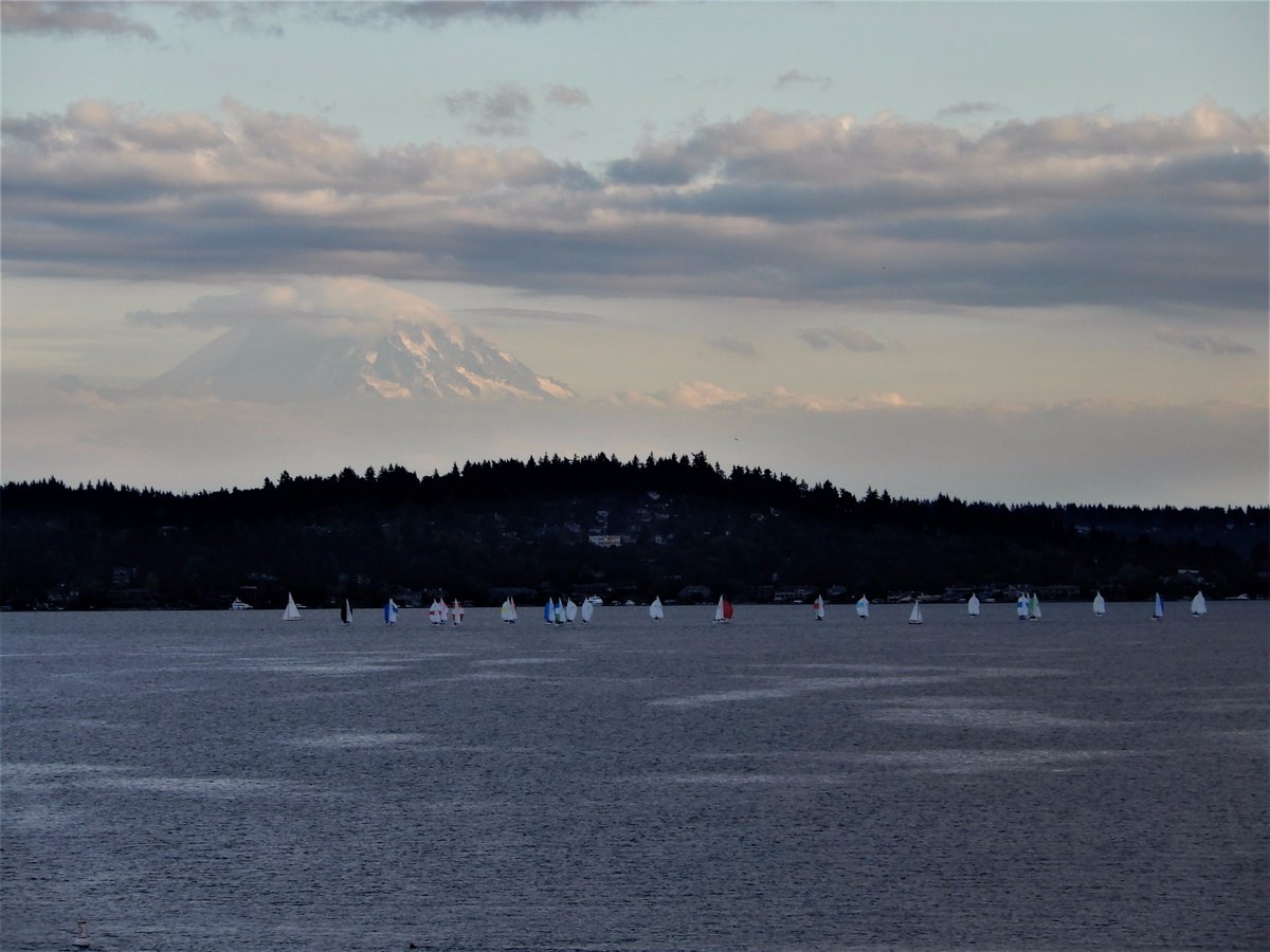 NWSSeattle's tweet photo. A little sailing before the mountain disappeared tonight. The mountain will be back Wed thru Sat. Rain, yes rain, arriving on Sunday. #wawx https://t.co/6O1boZl0bw