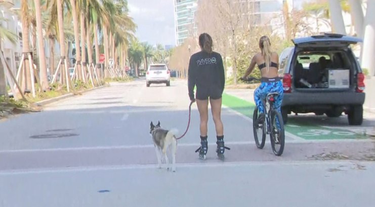 Miami Beach to residents: 'Welcome home' bit.ly/2woejCz?utm_me… https://t.co/sBmMGv9IgA