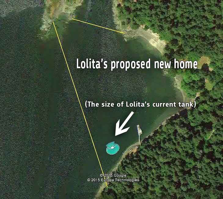 oceanCRIES's tweet photo. "There are no hurricanes in Puget Sound... #FreeLolita #Blackfish #Irma"
~@MayorLevine #Miami💙
#MiamiSeaquarium, it's TIME TO RETIRE Lolita! https://t.co/5fagasIV1B