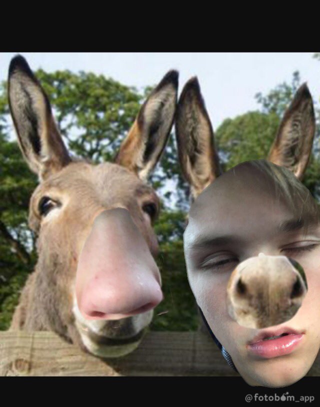 Conner Hill tweet media