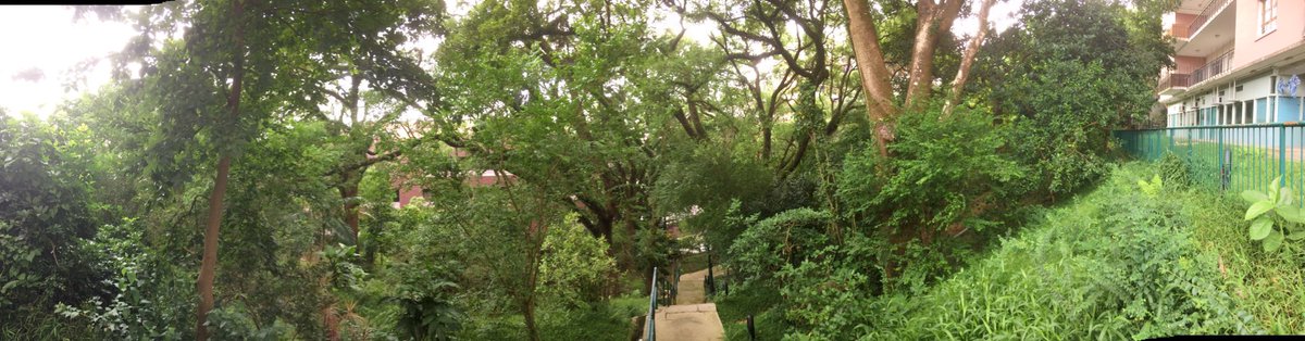 HB_Tilley's tweet photo. One of the nicest #sites to do a #pointcount #birds #research #lifeofanRA #ilovemyjob https://t.co/C6pvW4qCP1