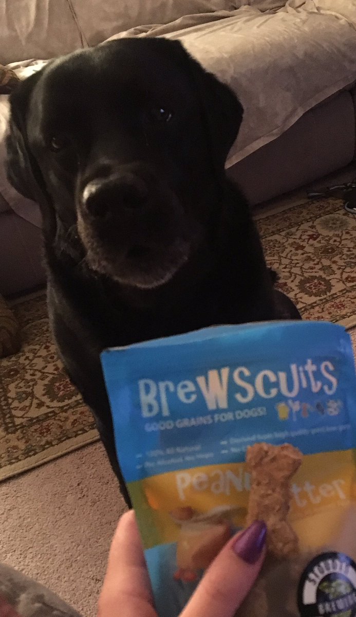 <a href="/Brewscuits/">Brewscuits</a> Jäger loves these 💙