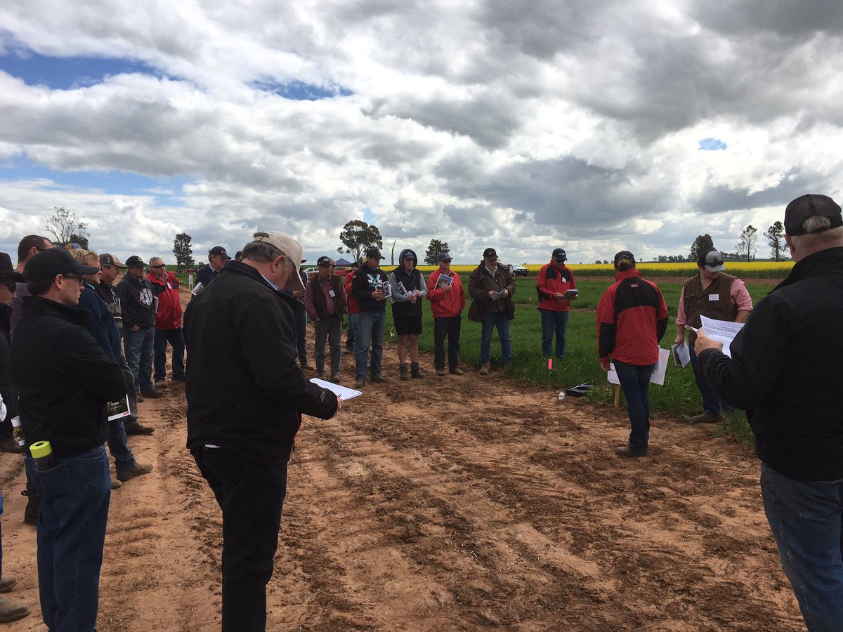 Stacey Doolan and Nick Hunt <a href="/EldersLimited/">Elders</a> talking BLW control in cereals at Rand Field day #Eldersagronomy
