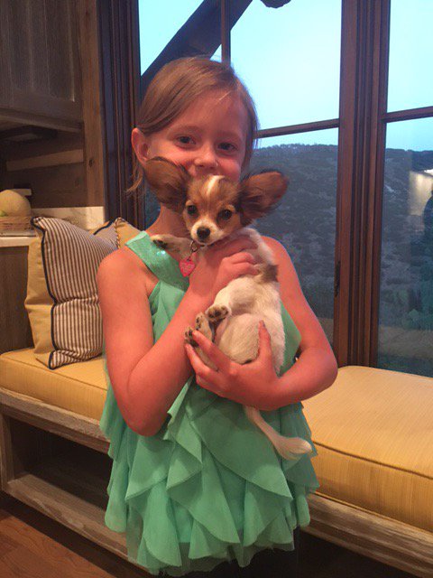 2wheelssteamboat (@wheelssteamboat) on Twitter photo 