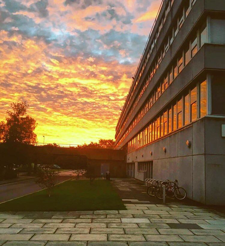 🌥 #UoHCampus views!