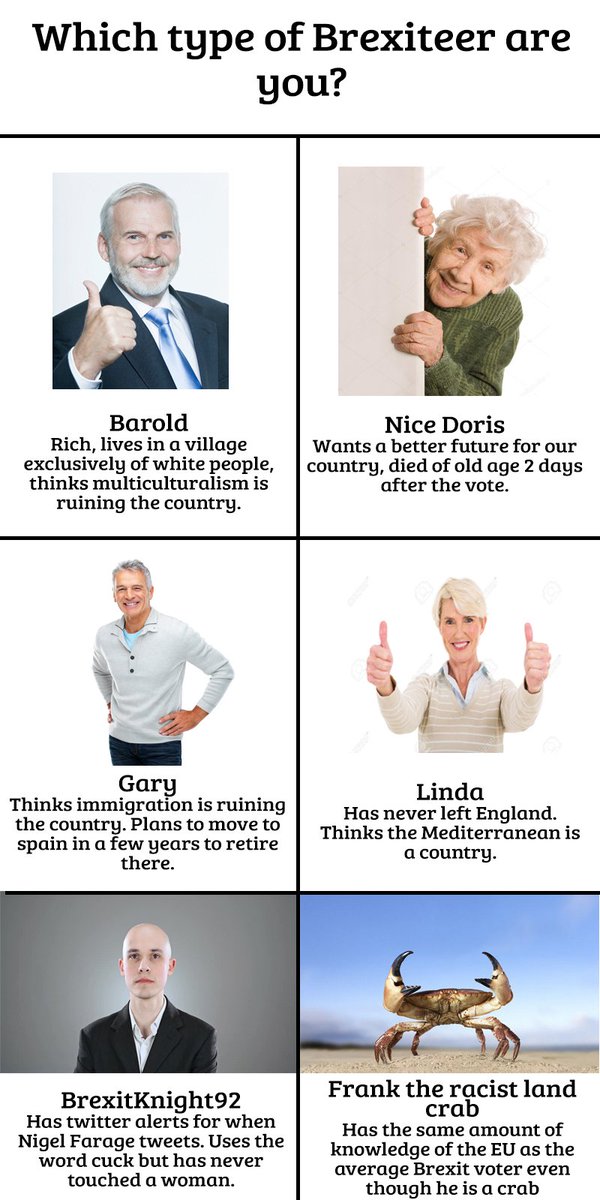 Which type of Brexiteer are you?