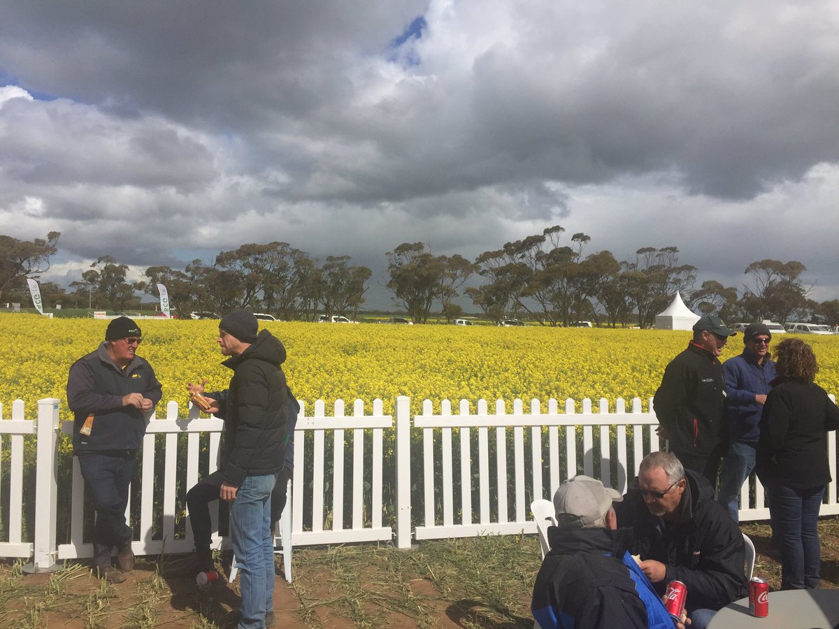 Getting the low down on mice, spring forecast and CTF <a href="/Sevrowe/">Justine Severin</a> #bcgmfd17 <a href="/BCG_Birchip/">Birchip Cropping Group (BCG)</a>