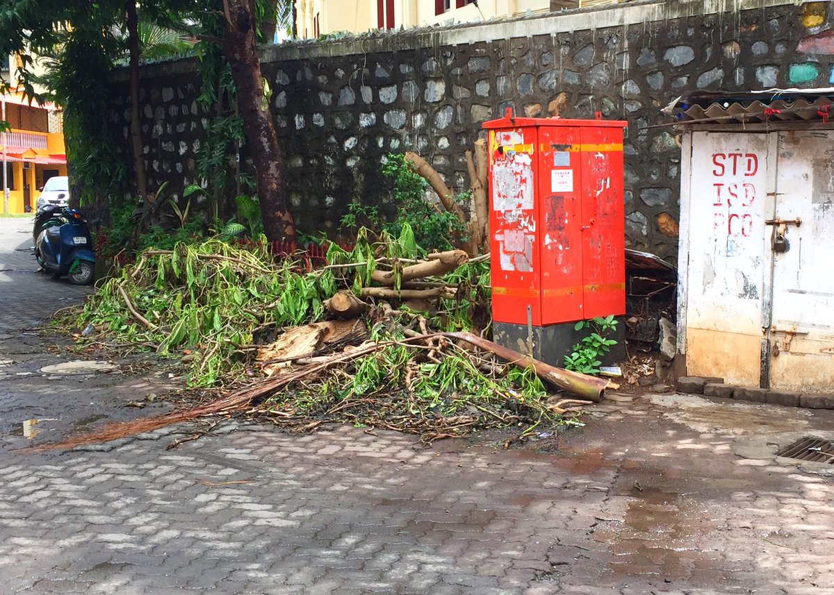sheldonssantos's tweet photo. What is the BMC doing? Such sad lack of responsibility. It's day 8 and a leaf hasn't been moved @MumbaiPolice @bmcmumbai #norespect #mumbai https://t.co/36jHc67rSr