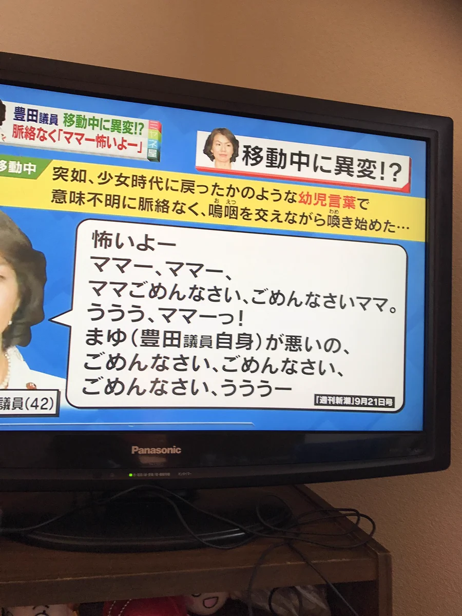 数ヶ月での変貌ぶりがすごいw豊田議員のビフォアーアフターwww
