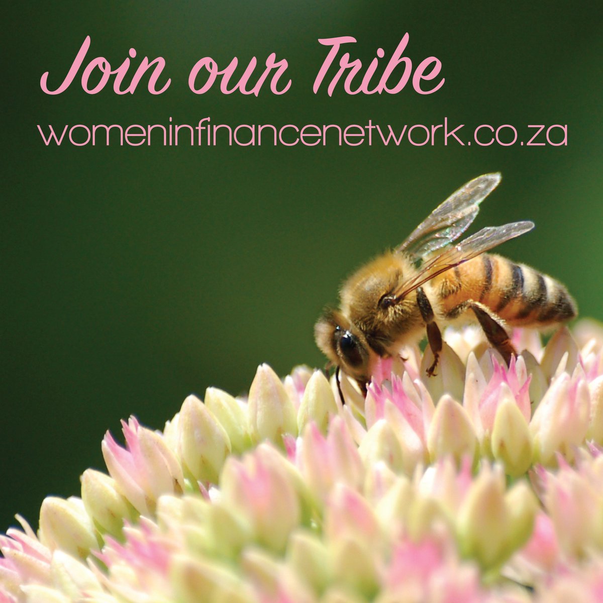 Women in Finance tweet media