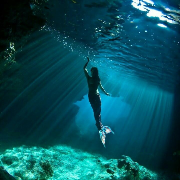megcggdr's tweet photo. "Ferma la nave, ascolta la nostra voce. Nessuno è mai passato di qui con la sua nave, senza ascoltare il nostro canto dolcissimo" https://t.co/e73od5lqWo