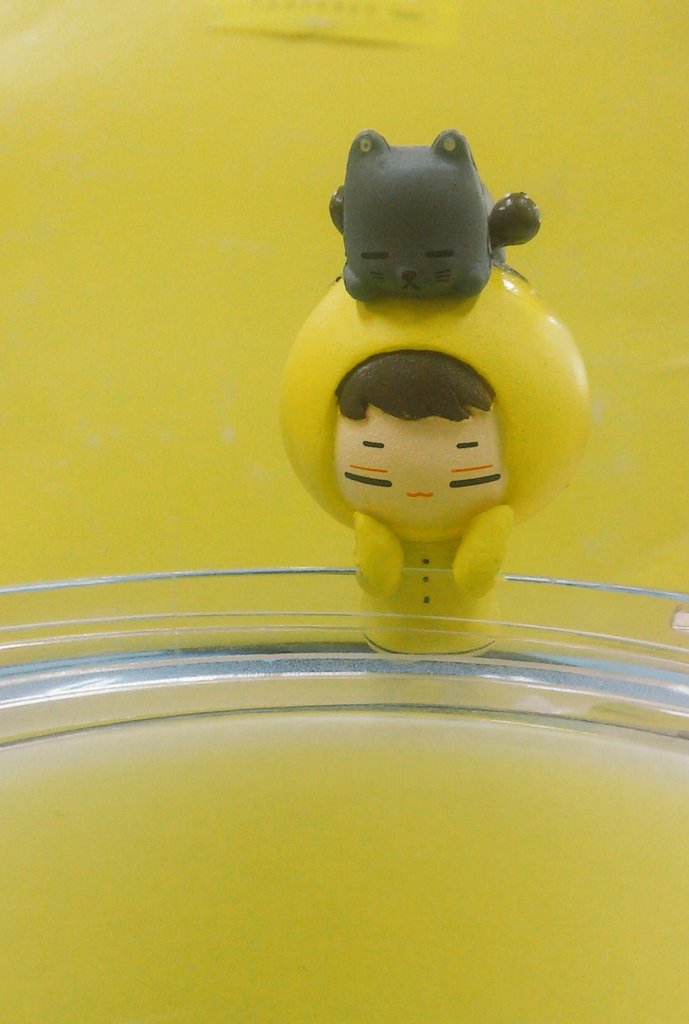 Ller_ifnt's tweet photo. @yeolafbeesoo 왔어요😸 두개 붙어있는 건 무거워서인지 걸쳐있지 않고 뒤로 넘어가네요. 아무튼 귀여워요😽 https://t.co/vEjaaEGslG