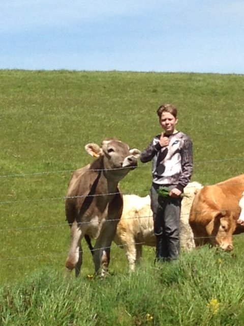 Wat moet een stadse puber nu op het Franse platteland. Saai? Integendeel. Lees zijn avontuur verhalenmakers.com/nl/content/jor…