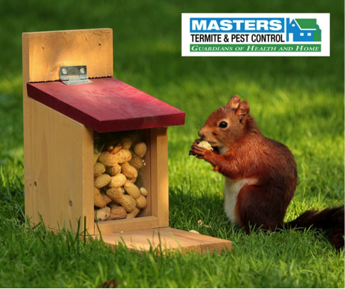 Masters Pest Control tweet media