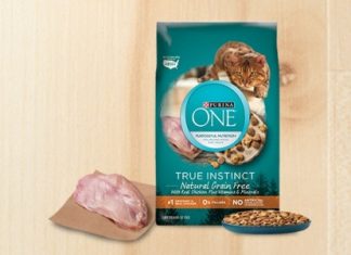 freebiesjoy's tweet photo. Free Sample of Purina One True Instinct
#catfood #dogfood #catfreebies #dogfreebies #petfood #petfreebies 

https://t.co/BoZymb5QFQ https://t.co/WDBuPB9Mko