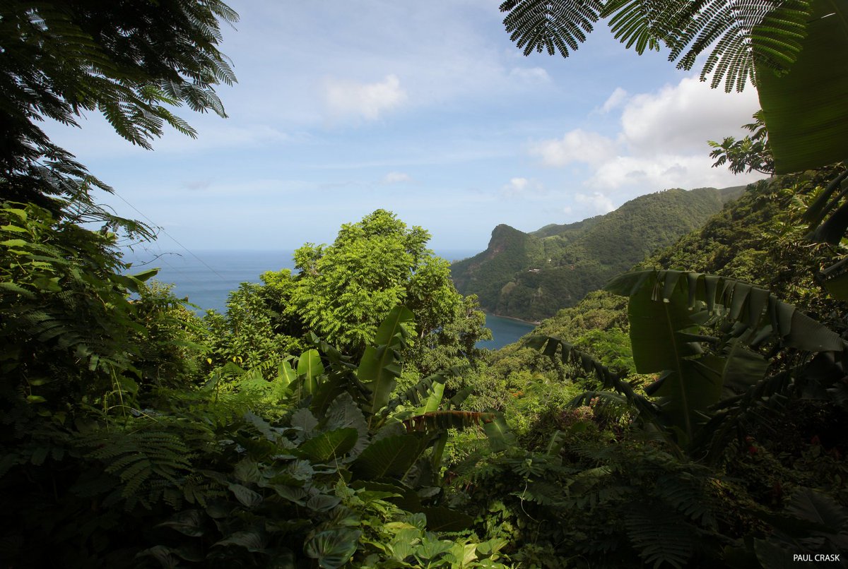 A view of Soufriere Bay from one of several coastal trails in the south west #Dominica #travel facebook.com/HikeIntoDomini…