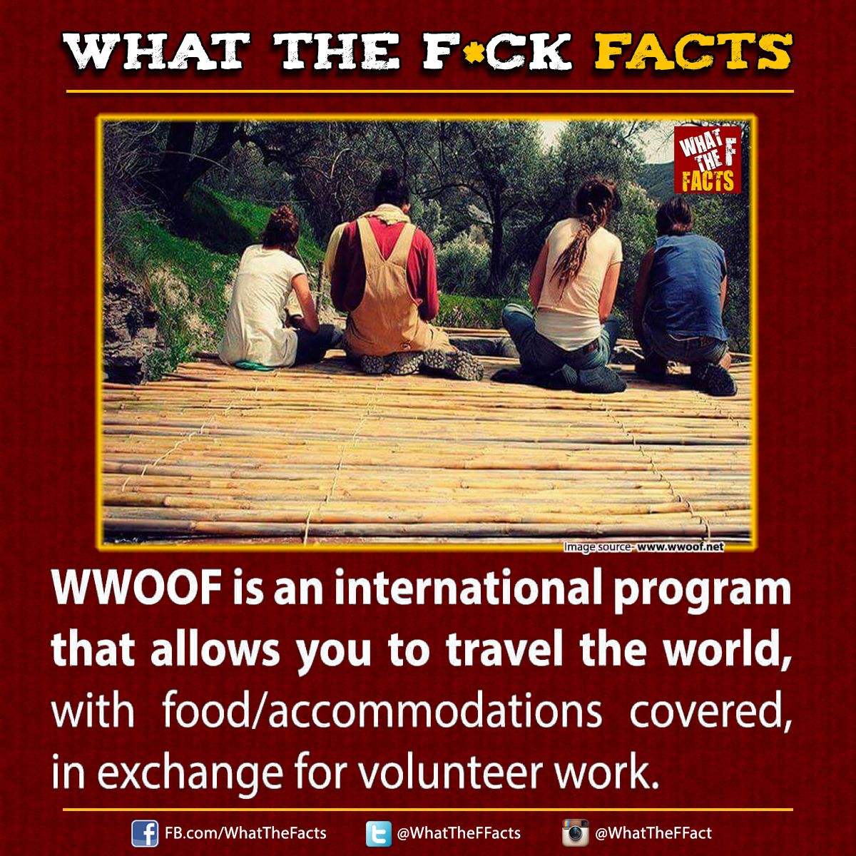 WhatTheFFacts's tweet photo. https://t.co/QrHiXQHnGL