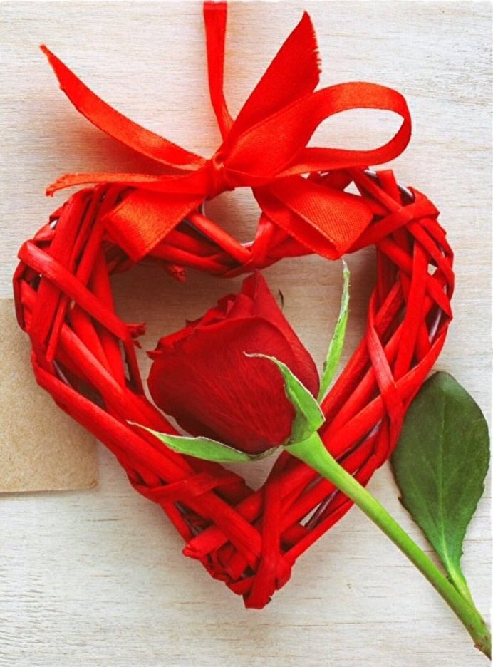 اذا عمرك تعب أناعمري لك فدا
نحزن ونفرح سوا
أنامعك لين الفنا
آمان الله على قلبك على كل شيء احبه فيك
دمتي نبضي