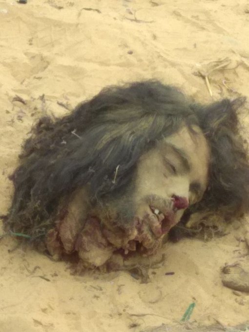 عرض الصورة على تويتر عرض الصورة على تويتر