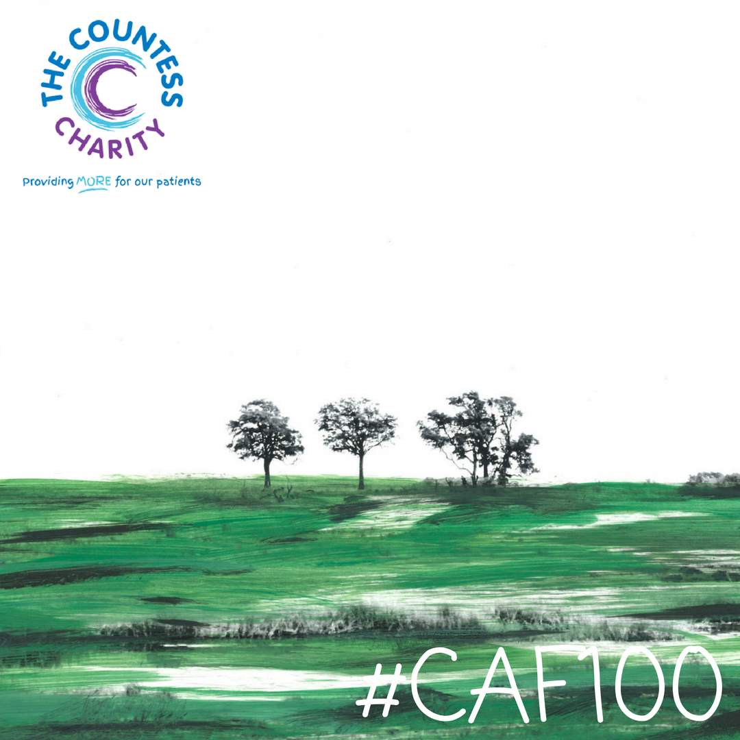 chesterartsfair's tweet photo. Keep up to date with our #CAF100 appeal via our #Instagram account @chesterartsfair. Visit https://t.co/VH1BcVKbbL for the list so far 😊 https://t.co/1jqNtAluH7