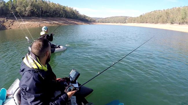 LukrisSL's tweet photo. Pesca de Barbos desde pato: Una introducción a sus ventajas https://t.co/yx8Fi7uYm9 #pescadeportiva #spinning #pescadebarbos #pescario https://t.co/vGjZbB5agX