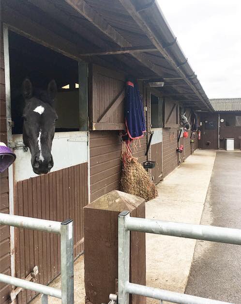 jfpoloacademy's tweet photo. Full/part livery stables available for horses of disciplines. 24/7 care from our experienced team #stables #livery https://t.co/EJJWoH0pCj