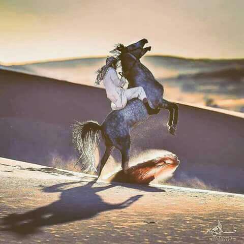 king5_s's tweet photo. من بغانا كيف راسه ماحنا كيف راسه
الجبل ياكيف يرضى بـ ظل غير ظله
#قلب_كالثلج
#جنون_العشق_للدعم
#MK_Gp
#الشهد_للدعم
#زعماء_تويتر_للدعم
#مڵـڪ https://t.co/F4pH2Uf33w