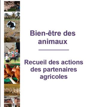 La FNSEA (@fnsea) on Twitter photo Que les milliers d'éleveurs engagés dans des démarches de progrès subissent la violence des antiviande <a href="/l214/">L214 éthique & animaux</a>, n'est plus supportable ! Que les milliers d'éleveurs engagés dans des démarches de progrès subissent la violence des antiviande <a href="/l214/">L214 éthique & animaux</a>, n'est plus supportable !