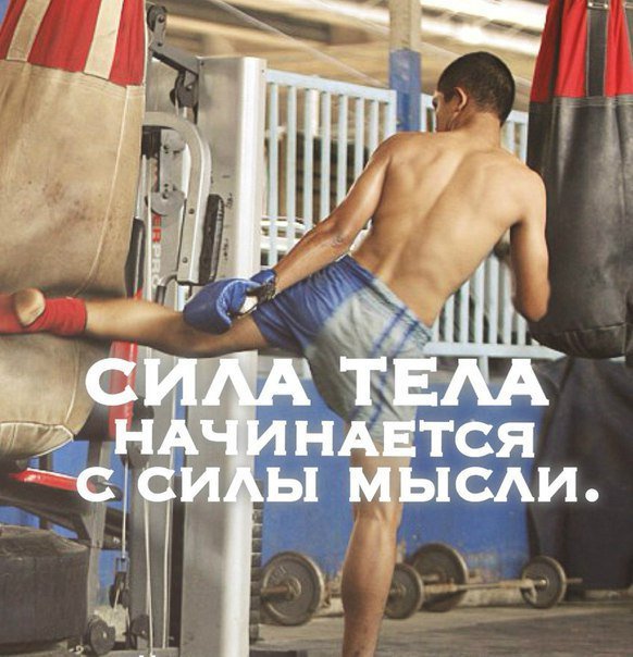 #мотивация #успех #спорт